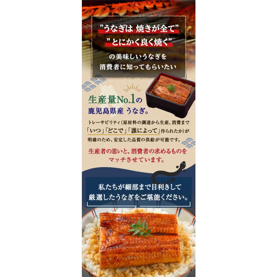 うなぎ 国産 熨斗対応 鹿児島県産 特大うなぎ蒲焼2尾セット（約440g 2尾） 200g以上の特大うなぎ 2尾入 丑の日 土用丑 土用 かば焼き 鰻 あかまる専稼