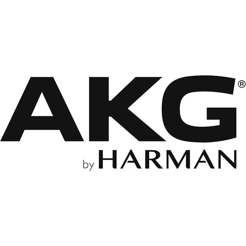 AKG アカゲ ボーカル用 ダイナミック・マイクロホン D5S スイッチ付国内正規品