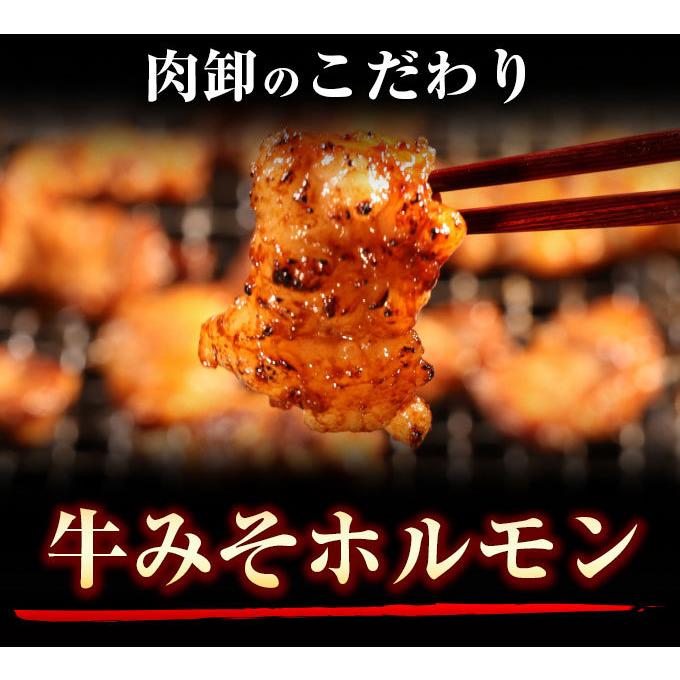 ホルモン 訳あり 肉 焼肉 バーベキュー お取り寄せ グルメ ギフト 食品 ポイント消化 人気 シマチョウ てっちゃん もつ 味噌 タレ 500g