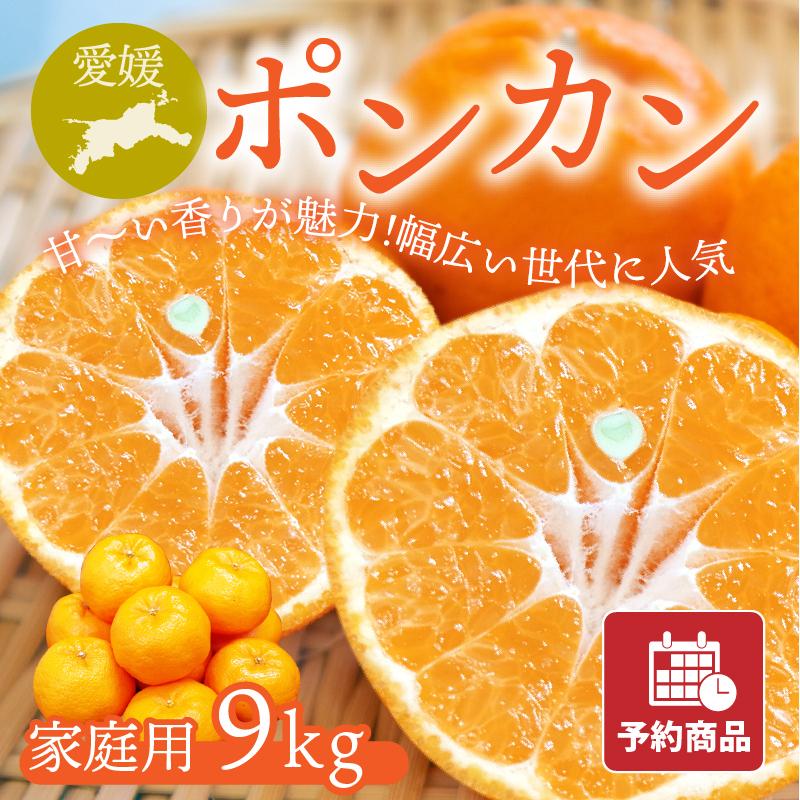 ポンカン ぽんかん 家庭用 9kg 愛媛県産みかん みかん 柑橘類 予約商品