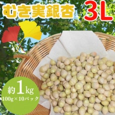 山形県山辺町産　むき実銀杏 (ぎんなん) 約1kg(100g×10パック)