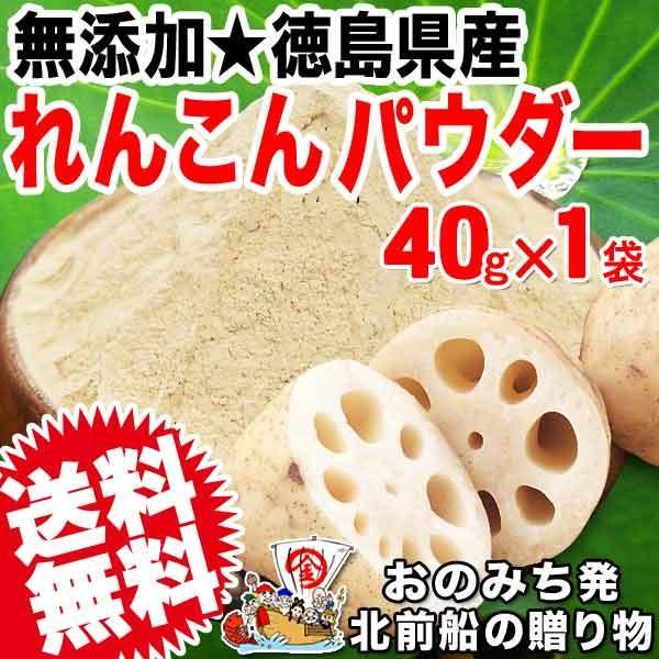 れんこんパウダー レンコン粉末 パウダー 国産 無添加 40g×1袋入り 徳島県産 お試し 送料無料