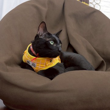 WM台客嚴選｜HoldU 懶人沙發椅 - 貓抓布專用布套(S)