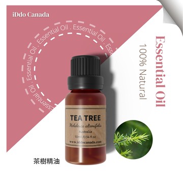 芳療師嚴選 單方精油 - 茶樹 10ml