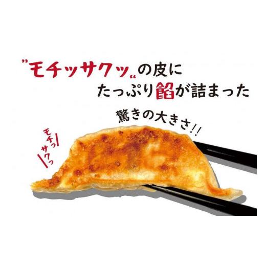 ふるさと納税 大阪府 大東市 大阪ふくちぁん餃子 冷凍生餃子 108個 ［36個入×3セット］