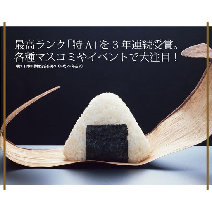 米 10kg お米 ゆめぴりか 白米（5kg×2袋）令和4年 新米 北海道産 ※送料別途