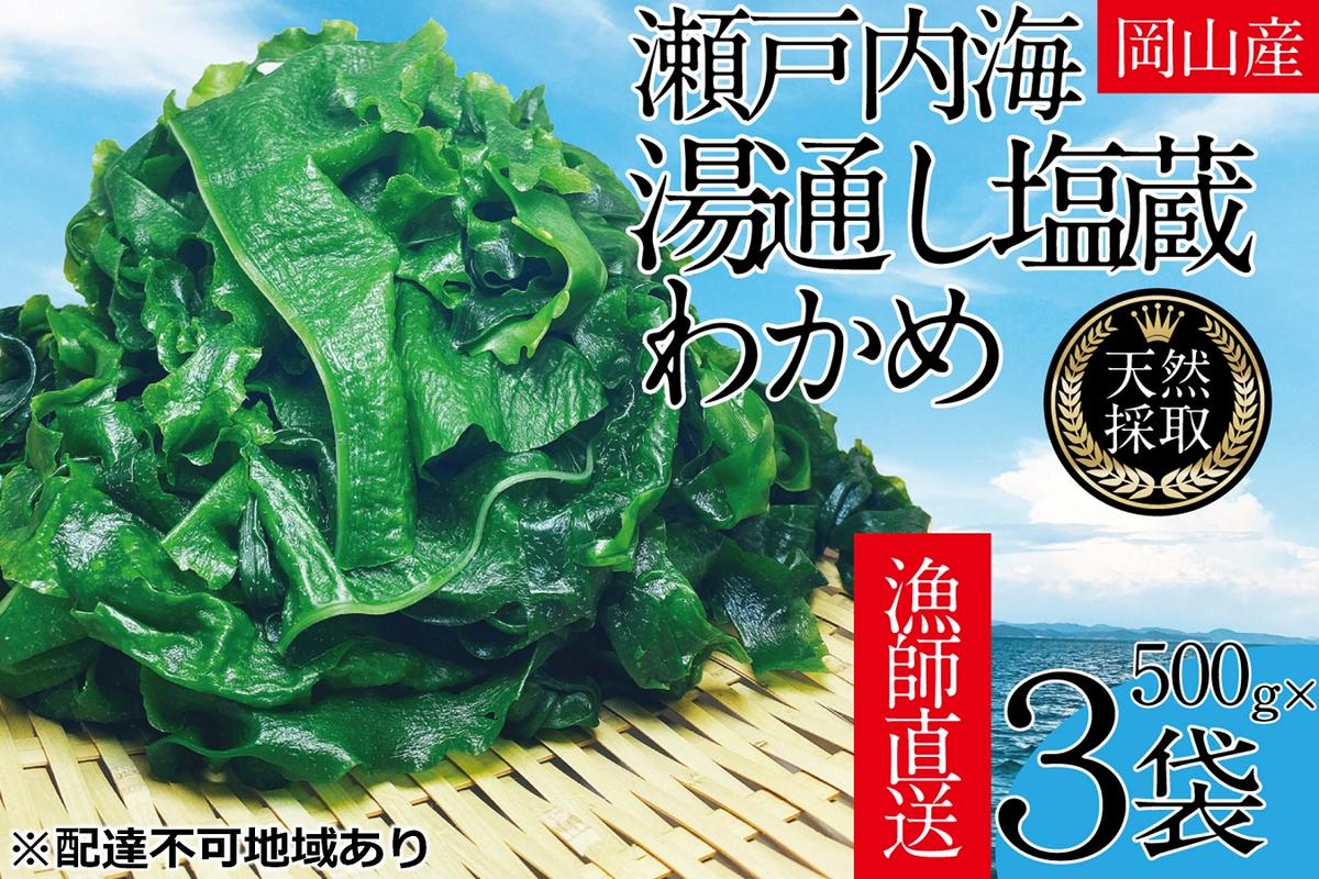 湯通し塩蔵 瀬戸内 わかめ 500g×3袋