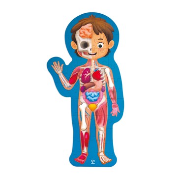 【網路限定】德國Hape 人體拼圖