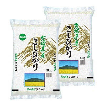  新米 茨城県産コシヒカリ　精米　10Kg　(5kgX2袋)　令和5年産