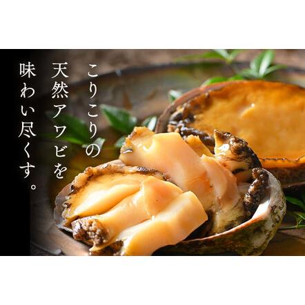 ふるさと納税 礼文島産　凍結島アワビLサイズ3個 旬凍うに食べ比べセット 北海道礼文町