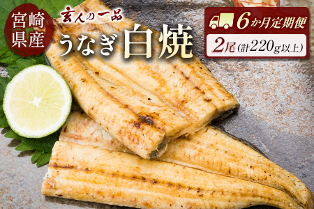 ＜玄人の一品＞うなぎ白焼 110g～150g程度×2尾 6か月分 6回  計12尾 新仔 長焼き 養殖うなぎ 鰻 ウナギ 国産 宮崎県産 冷凍 冷蔵 送料無料