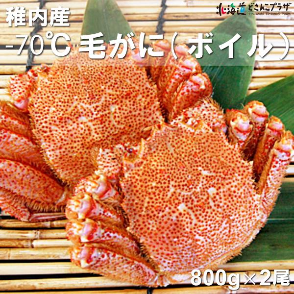 産地出荷「-70℃ 毛がに (ボイル）2尾　800ｇ×2」冷凍 送料込 お歳暮