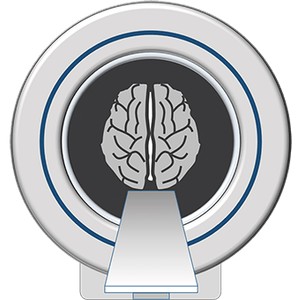 MRI Fundamentals