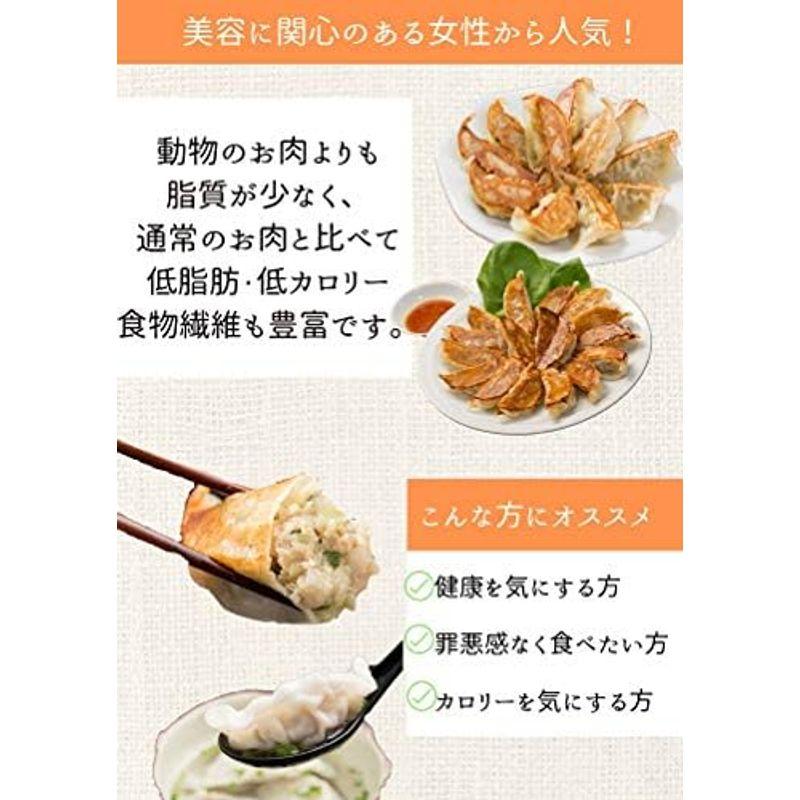 大豆ミート 餃子 40個入 soy meat gyoza