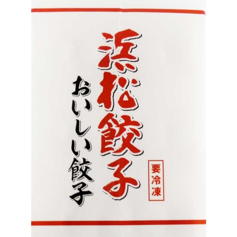 特選はままつ餃子 浜松餃子 15個入り クリスマス 2023