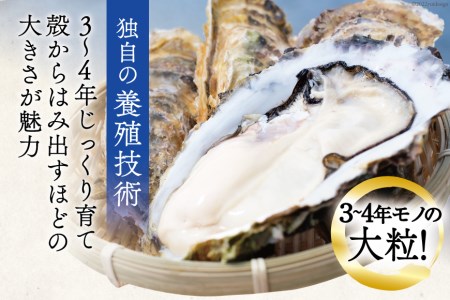  牡蠣 大粒 3～4年モノ 生食 殻付き牡蠣 約3kg(約9-12個入) [住喜水産 宮城県 気仙沼市 20562174] 期間限定 冷蔵 新鮮 濃厚 真牡蠣 カキ かき 生牡蠣 魚貝類 生牡蠣 貝 海鮮 魚介類 なべ カキフライ 牡蠣ご飯 魚介