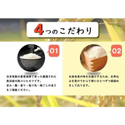 ふるさと納税 魚沼産川西こしひかり1kg　新潟県認証特別栽培米　令和５年度米 新潟県十日町市