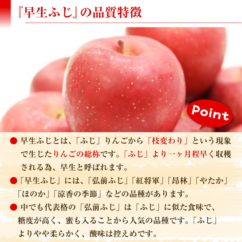 [予約 10月5日-10月30日の納品] 早生ふじ 約5kg 14-16玉 大玉 青森県 長野県産ほか りんご フジ 甘い 早生 早生りんご ふじりんご 赤りんご 果実専用箱