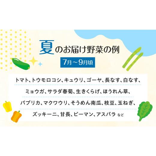 ふるさと納税 岐阜県 飛騨市 産直市から直送！ 飛騨産 旬の新鮮 野菜セット (6-8品)   〜2024年7月から11月にお届け〜