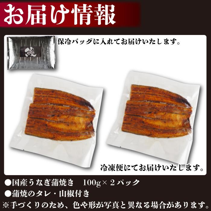 国産 手焼き うなぎ蒲焼き 100g × 2パック 送料無料  ウナギ 鰻 うなぎ 蒲焼き 国産うなぎ 国産ウナギ 国産鰻 鰻蒲焼 グルメ お惣菜