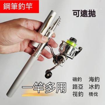 桃園有貨✨鋼筆魚竿 釣魚竿 迷你小海竿 隨身輕便 好攜帶 迷你 口袋型 釣竿 捲線器 夜釣 拋竿 釣魚 釣蝦 溪釣 魚竿