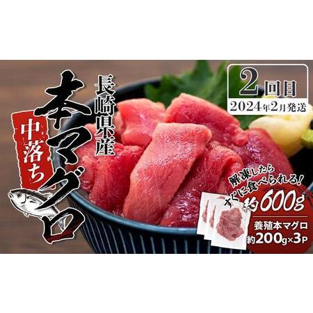 ふるさと納税 長崎県産 本マグロ 贅沢食べ比べセット 計1.6kg＜2024年1月〜3月発送＞【マグロ まぐろ 本マグロ 養殖マグロ 養殖本マグ.. 長崎県