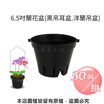 6.5吋蘭花盆(黑吊耳盆.洋蘭吊盆)30個/組