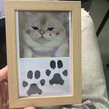 客製化相框 寵物紀念相框 寵物紀念品 寵物相框 陪伴 定製圖片寵物diy免洗印泥貓咪狗狗腳手足印紀念相框