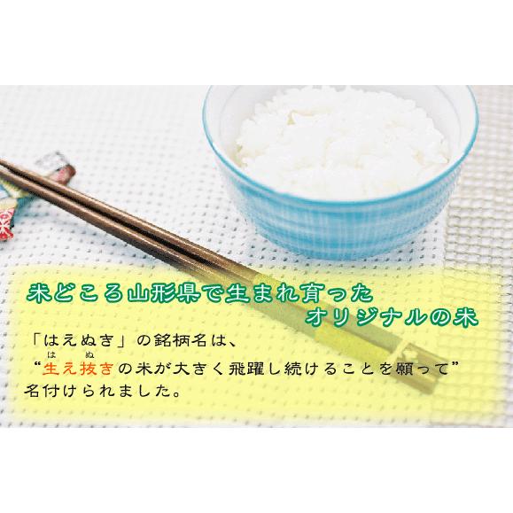 ポイント5倍 新米 無洗米 山形県産はえぬき 2合(300g) ×1袋 メール便送料込み ポイント消化 令和5年産 米 食品 お試し（SL）