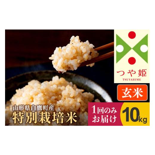 ふるさと納税 山形県 白鷹町 つや姫 10kg（特別栽培米）令和5年産 山形県産 しらたかのお米