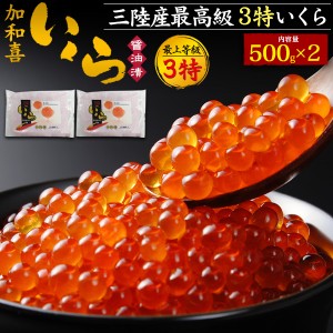 いくら 秋鮭 極上 3特 味付けいくら 1kg (500g×2) 醤油漬け 「加和喜」鮭イクラ 最高級 国産 いくら醤油漬け お歳暮 ギフト 贈物 お年賀