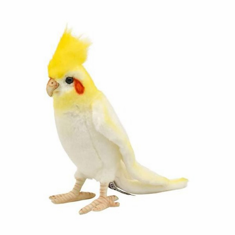 Bh6457 Hansa オカメインコ21 通販 Lineポイント最大0 5 Get Lineショッピング