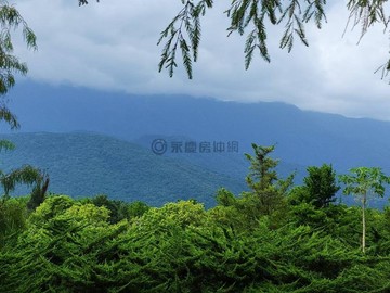 壽豐台11丙雙面路三千坪農地  5F1029｜花蓮縣壽豐鄉萬富段
