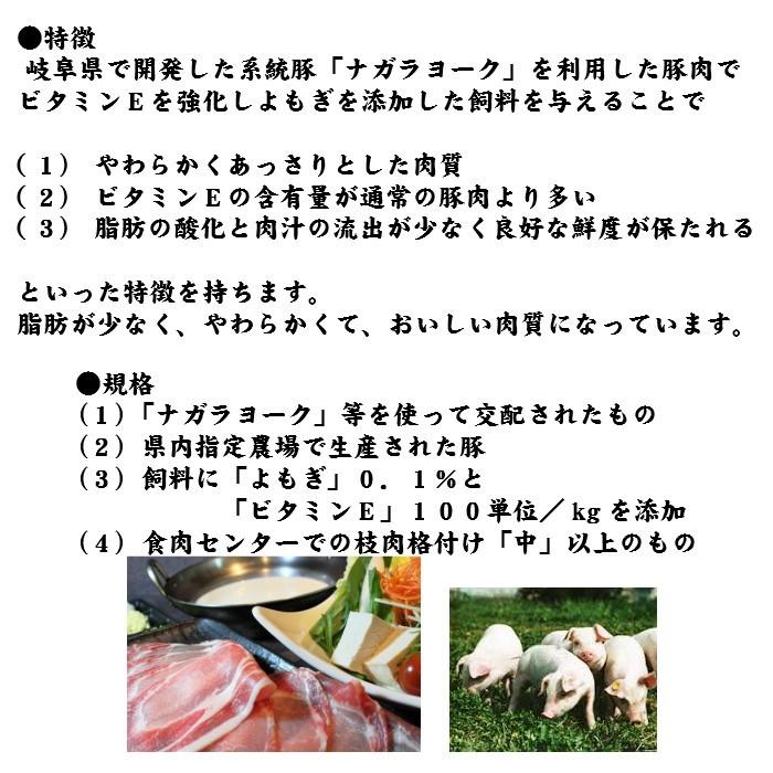 国産豚肉 豚ロース ステーキ肉 約200g 5枚  おいしい岐阜県産の豚肉 「けんとん豚」 トンテキ 豚カツ 焼肉 ギフトにも