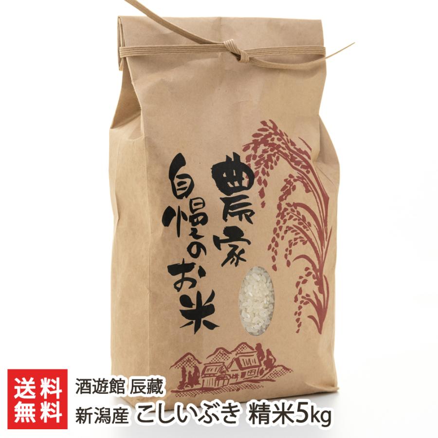 新潟産こしいぶき 精米5kg 酒遊館 辰藏 送料無料