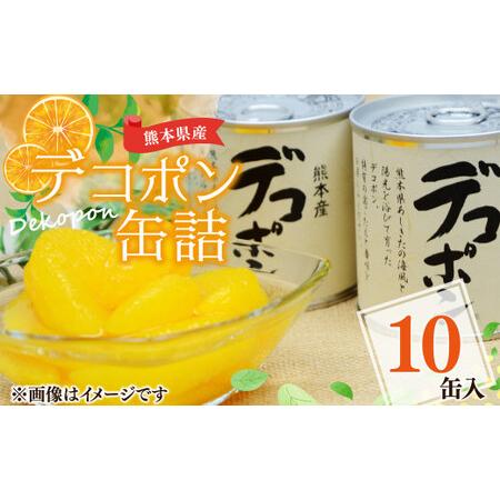 ふるさと納税  デコポン 缶詰 295g×10缶 果物 柑橘 フルーツ 熊本県水俣市