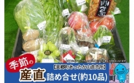 季節の産直詰め合わせ 野菜 山菜 果物 フルーツ 漬物 など