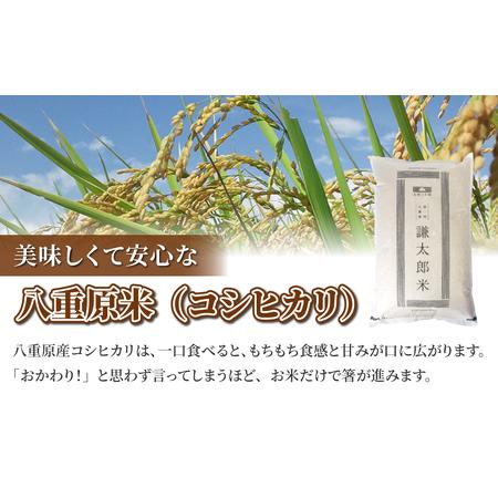 ふるさと納税 八重原産特別栽培米（減農薬・減化学肥料栽培）コシヒカリ白米1.2kg 長野県東御市