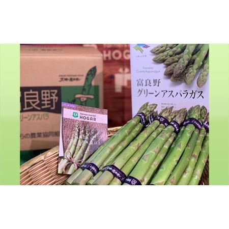 ふるさと納税 北海道 富良野市産 グリーン アスパラ Lサイズ 約1.5kg 秀品 150g×10束 (JAふらの) 北海道富良野市