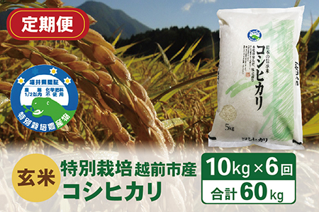 〈先行予約〉（令和5年度新米 玄米）特別栽培 越前市産コシヒカリ  10kg×6回