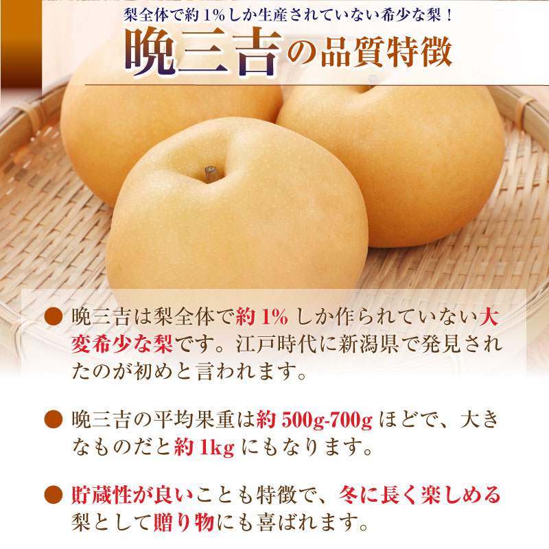 [予約 2023年 12月1日-12月31日の納品] 晩三吉 約1.2kg 約600g×2玉 おくさんきち 大分県他 ありの実箱 果実専用箱 冬ギフト 梨 和梨 冬ギフト お歳暮 御歳暮