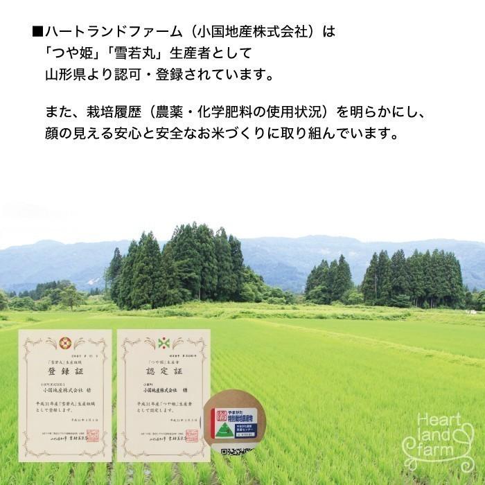 新米 5kg お米 コシヒカリ 山形県 令和5年産 送料無料（一部地域を除く） 精白米 ハートランドファーム