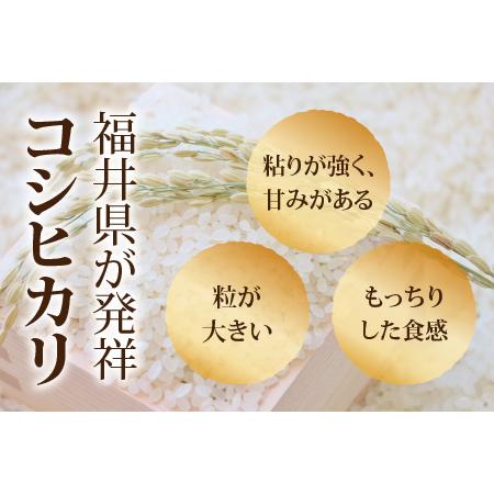 ふるさと納税 令和5年度産 永平寺町産 コシヒカリ 20kg×6ヶ月（計120kg）　[L-033080] 福井県永平寺町