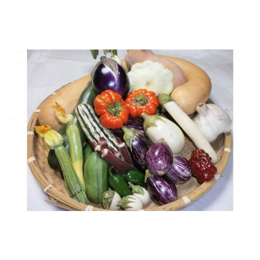 ふるさと納税 佐賀県 神埼市 イタリア野菜セットラージ 14品 (H078133)