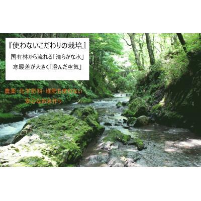 ふるさと納税 辰野町 令和5年産　コシヒカリ(玄米5kg)　大自然に感謝の栽培　芳醇な味わいな『小里米』