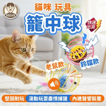 貓咪籠中球【布萊恩👨🏻隔日到貨】貓咪玩具 貓咪自嗨玩具 貓咪陪伴玩具 貓咪互動玩具 貓咪發聲玩具 寵物玩具 逗貓玩具