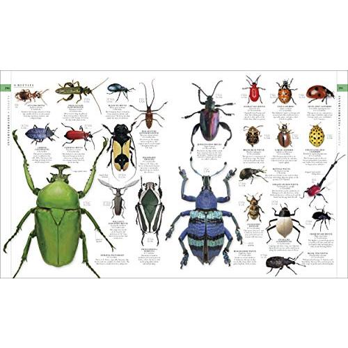 The Natural History Book (DK Definitive Visual Encyclopedias)