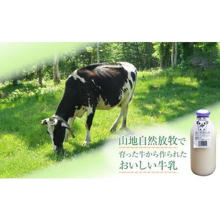 ふるさと納税 斉藤牧場の山地自然放牧牛乳（900ml×2本） 北海道旭川市