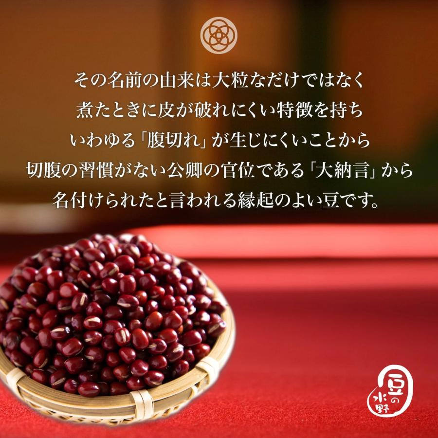 新豆 大納言小豆 900グラム 令和5年収穫 北海道産   とよみ大納言