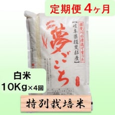 4ヶ月特別栽培米10kg(夢ごこち)全4回